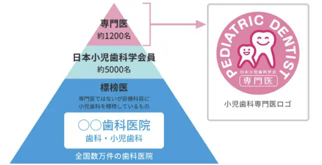 小児歯科専門医