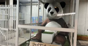 松戸医師学部小児歯科学教室総会